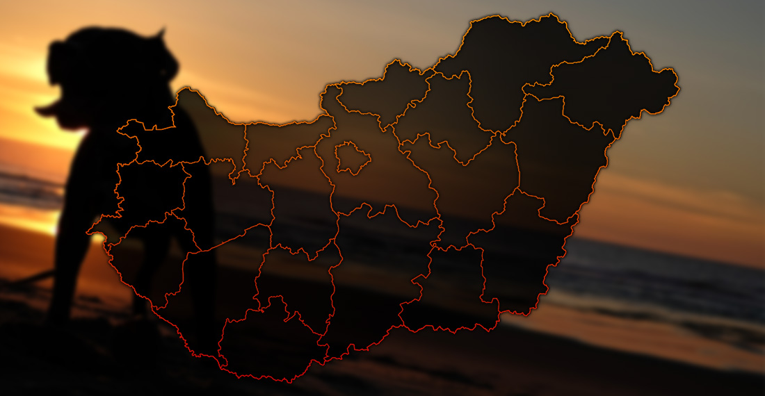 Magyarországon lévő amstaff kennelek térképen jelölve